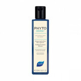 Reinigendes Shampoo für fettige Kopfhaut Phytocedrat, 250 ml, Phyto