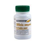 Siliciu Organic si Calciu Coral, 60 capsule, Pro Natura