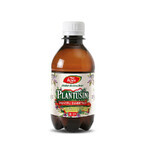 Plantusin Sirup für Diabetiker, R29, 250 ml, Fares