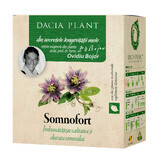 Somnofort, 50 g, Dacia Pflanze