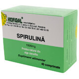 Spirulina 1000 mg, 40 Tabletten, Hofigal