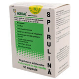 Spirulina 500 mg, 40 Kapseln, Hofigal