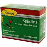 Spirulina mit Sanddorn-Extrakt, 40 Tabletten, Hofigal