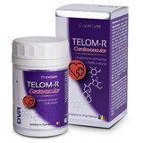 Telom-R Herz-Kreislauf, 120 Kapseln, Dvr Pharm