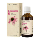 Echinacea Tinktur, 50ml, Dacia Plant