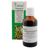 Ghimpe-Tinktur, 50 ml, Hofigal