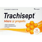 Trachisept miere si propolis, 16 comprimate, Ozone Laboratories