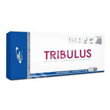 Tribulus, 60 Kapseln, Pro Nutrition