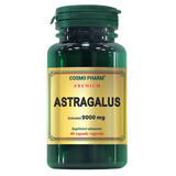 Astragalus Extract 9000mg, 60 capsule, Cosmopharm