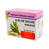 Salbeiöl-Mazerat 500 mg, 40 Kapseln, Hofigal