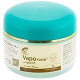 Vapo Forte unguent, 40 g, Pro Natura