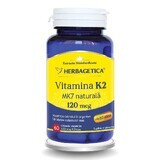 Natürliches Vitamin K2 MK7 120mcg, 60 Kapseln, Herbagetica