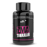 ZMA Tribulus, 60 Kapseln, Pro Nutrition