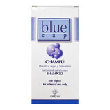 Șampon, Blue Cap, 150 ml, Catalysis