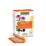 APIELIXIR inmunidad abeja FORTE, 10 viales x 10 ml, Apicola