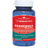 Bio-aktives Berberin, 60 Kapseln, Herbagetica