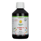 Joy Day Probiotic Kids, organic, 300 ml