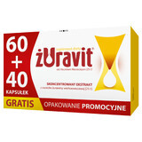 Zuravit, 60 capsules + 40 free capsules