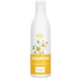 Novame, Shampoo per capelli chiari e biondi, 300 ml