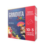 Grinovita Junior, 13 Portionsbeutel