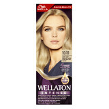 Wellaton Intense, Intensiv-Farbcreme, 10/81 ultrahelles Aschblond, 110 ml