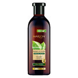 Marion Botanical Herbal Regenerating Shampoo Horsetail Damaged Hair 400ml