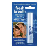 Fresh breath, mouth deodorant, mint, 10 g