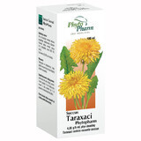 Succus Taraxaci Phytopharm 4,85 g/ 5 ml, Flüssigkeit zum Einnehmen, 100 ml