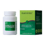Phytoalgin, 40 Tabletten, Plantavorel