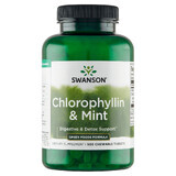 Swanson Chlorophyllin &amp; Minze, Chlorophyll mit Minze, 500 Kautabletten