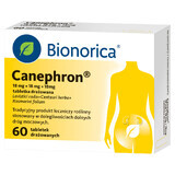 Canephron 18 mg + 18 mg + 18 mg, 60 Reizstofftabletten