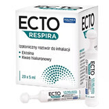 Ecto Respira, soluzione isotonica per inalazione, 5 ml x 20 fiale