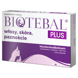 Biotebal Plus Haare Haut Nägel, 30 Tabletten + 10 Tabletten gratis