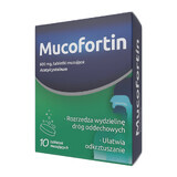 Mucofortin 600 mg, 10 Brausetabletten