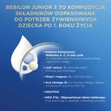 Bebilon Advance Pronutra 3 Junior, nutritional formula based on milk, after 1 year, 1000 g