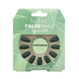 Set of 24 false nails, with glue included, Technic, False Nails, Squareletto, Evergreen