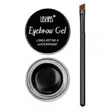 Ushas Waterproof Eyebrow Gel, 01 Black