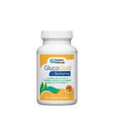 Doctors Preferred Glucogold With Berberine, Formule avancée de réduction de la glycémie avec Berberine, 90 Tb