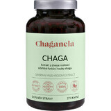 Estratto di Chaganela Siberian Chaga 270 capsule