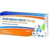 Ambrobene RETARD 75 mg cps plg 20 capsules