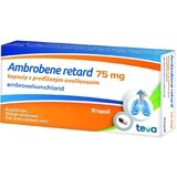 Ambrobene RETARD 75 mg cps plg 10 capsules