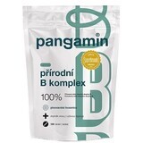 Pangamin Natürlicher B-Komplex 120 Tabletten