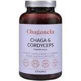 Chaganela Extrait de Chaga avec Cordyceps 270 gélules