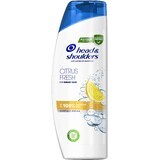 Head & Shoulders Citrus Shampoo für fettiges Haar 400 ml