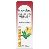 Dr. Theiss Mucoplant Hustensirup 250 ml