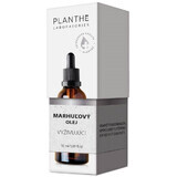 Planthé Pflegendes Aprikosenöl 50 ml