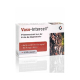 Vaso-Intercell Pycnogenol 75% 60 Kapseln, Intercell