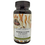 Cordyceps china 50g Artisanal Sanddorn und Freunde