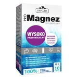 ProMagnesio 10 bustine 40g Dr Gaja