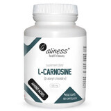 L-carnosine carnosine 500 mg (60 capsules) Aliness